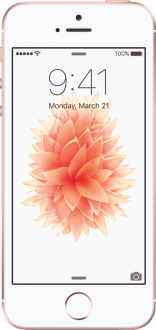iPhone SE