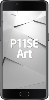 P11SE Art